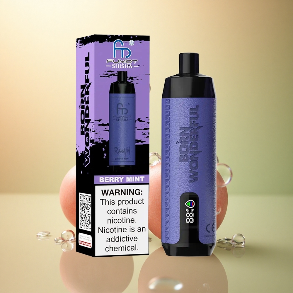 RandM Fumot Shisha 10000 Puffs מנטה יערה עם סוללת 850 mAh וניקוטין 0.5%