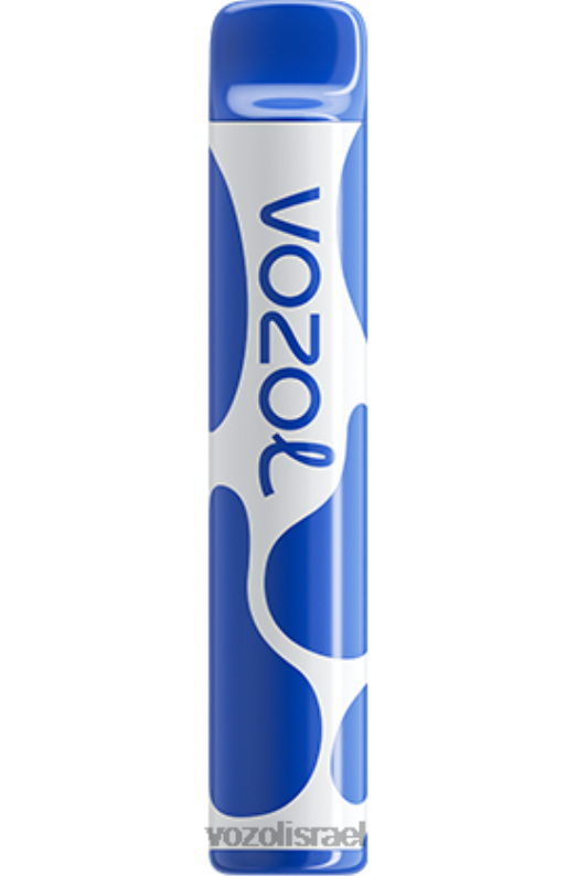 VOZOL Vape Buy | T0886390 VOZOL JOYGO joygo 600 סערת אוכמניות 600