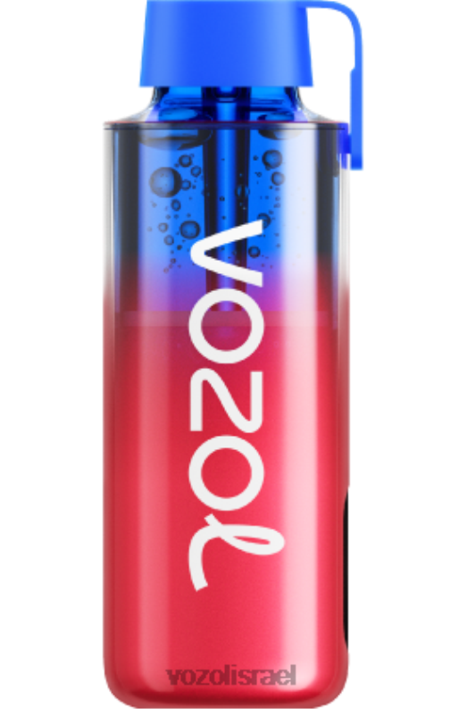 VOZOL Vape Israel | T0886243 VOZOL NEON neon10000 קרח אוכמניות 10000