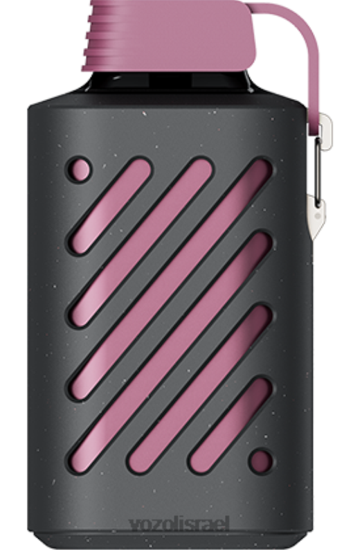 VOZOL Vape Buy | T0886300 VOZOL GEAR הילוך 10000 קלמנטינה פטל פסיפלורה 10000