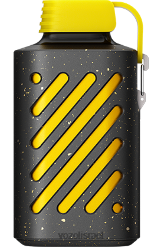 VOZOL Vape Flavours | T0886295 VOZOL GEAR הילוך 10000 קיווי פסיפלורה גויאבה 10000