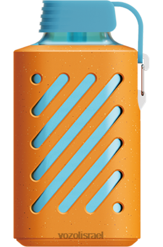 VOZOL Vape Flavours | T0886305 VOZOL GEAR הילוך 10000 קלמנטינה פטל 10000
