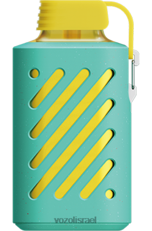 VOZOL Vape For Sale | T0886289 VOZOL GEAR הילוך 10000 תפוח כפול 10000