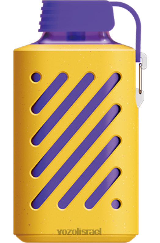 VOZOL Vape For Sale | T0886299 VOZOL GEAR הילוך 10000 תערובת פירות יער 10000