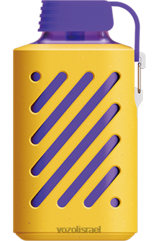 VOZOL Vape Sale | T0886317 VOZOL GEAR הילוך 10000 לימון ליים 10000