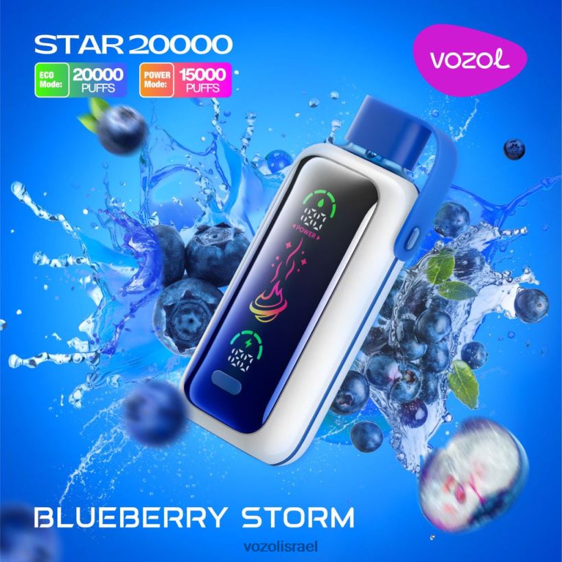 VOZOL Vape Flavours - סערת אוכמניות VOZOL STAR 20000 H0RLH25