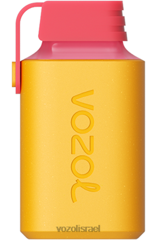 VOZOL Israel | T0886351 VOZOL GEAR גיר 600 קיווי פסיפלורה גויאבה 600