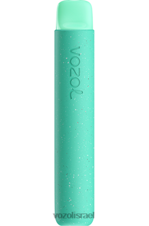 VOZOL Jerusalem | T088692 VOZOL STAR כוכב 600 נַענַע 600