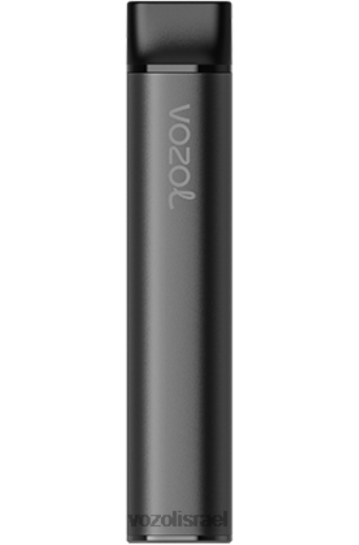 VOZOL Vape Buy | T0886220 VOZOL SWITCH מתג 600 קרח אוכמניות 600