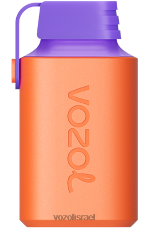 VOZOL Vape Israel | T0886353 VOZOL GEAR גיר 600 אבטיח גויאבה ליצ'י 600