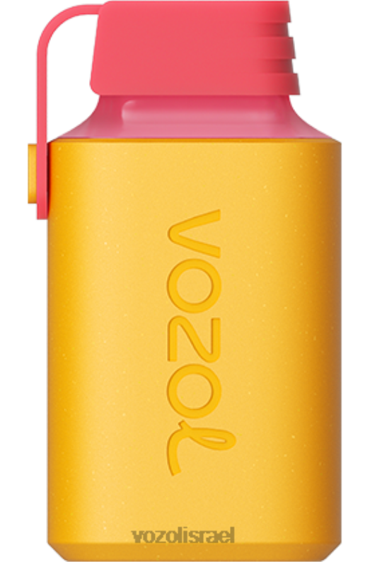 VOZOL Vape Israel | T0886363 VOZOL GEAR גיר 600 לימון ליים 600