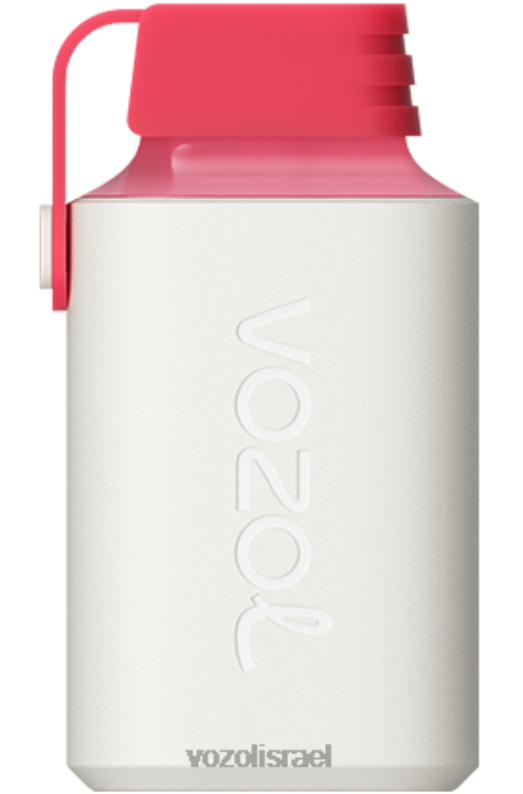 VOZOL Vape Review | T0886358 VOZOL GEAR גיר 600 דובדבן פטל תות 600