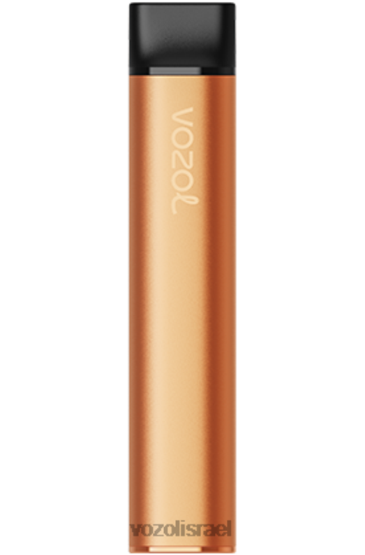VOZOL Vape Website | T0886226 VOZOL SWITCH מתג 600 קרח מנגו 600